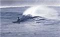 Kauai Surf School